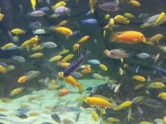 景点-郑州海洋馆