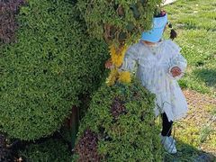 -孔子六艺文化园