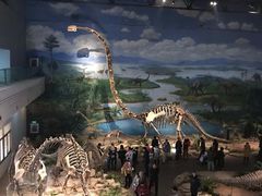 -自贡恐龙博物馆