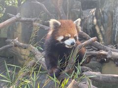 -常州淹城野生动物世界