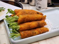 -丁老爷子苏香圆