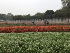 梦幻百花洲-松山湖梦幻百花洲