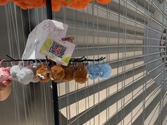 -蛙小侠(柳州万象城店)