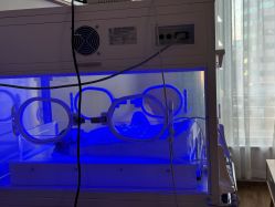 -浙江大学医学院附属妇产科医院(湖滨院区)