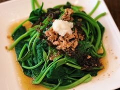 地瓜叶-春水堂人文茶馆(松烟文创店)