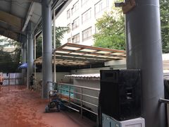 -小海豚国际游泳培训(长宁龙之梦酒店)