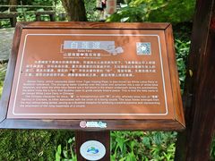 -武夷山风景名胜区-虎啸岩