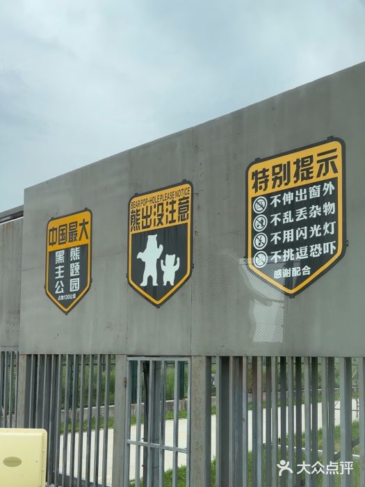 黑瞎子岛探秘野熊园图片