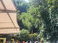 -将军关探险漂流