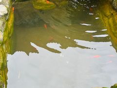 -寂照庵