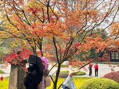 -四川大学博物馆