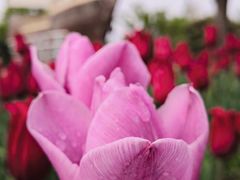 -长春公园(普阳街道)