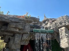 -自然谷恐龙园