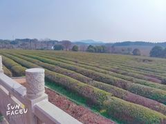 -凤凰沟景区