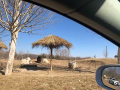 -北京野生动物园