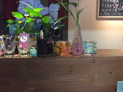 -春草居酒屋·晴子の店