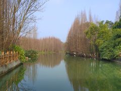 -桤木河湿地公园