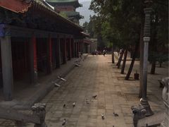 -少林寺景区