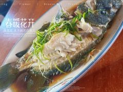 -坛南湾阿强农家乐.海鲜大排档老字号(福州地标美食店)