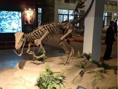 -自贡恐龙博物馆