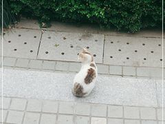 -Chili's Cafe&Bar奇利斯(滨江店)