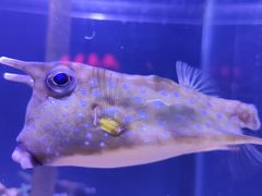 -太平洋海底世界博览馆·展览厅