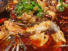 -陈眼镜火锅(总店)