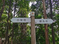 -火炉山森林公园