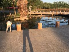 -绿堤公园