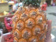 -鸿港海鲜批发市场