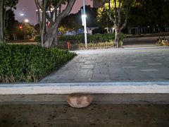 -岁宝Shirble plaza(景田店)