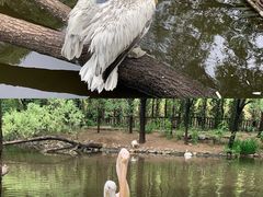 -济南野生动物世界