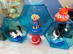 -瑞派·关忠动物医院·异宠专科·犬猫肿瘤·皮肤专科(望京店)