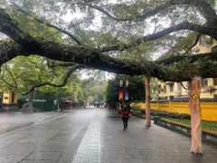 -东西巷