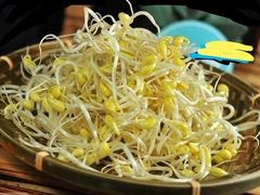 黄豆芽-菜园坝老火锅(金岛店)