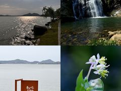 -长广溪湿地公园