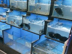 -一江春水·杭帮臻宴(三台山店)