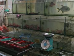 -巽东海鲜大排档(巽寮湾店)