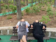 -洛阳白云山景区