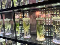 -广东中医药博物馆
