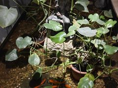 -邈墨茶馆(凤起路店)