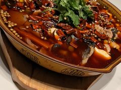 -樱㳊音乐餐酒吧