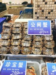 -双井轩·宴会厅