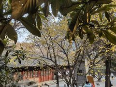 -西安大兴善寺