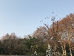 -菊花台公园