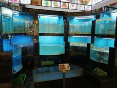 水产区-千岛湖小鱼儿·淳安匠心农家菜