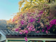 -深圳国际园林花卉博览园