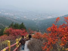 -十三陵水库