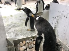 -大连圣亚海洋世界