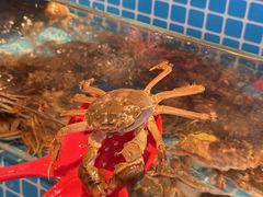 -焰江山海鲜牛排烤肉自助(锦华万达二星店)